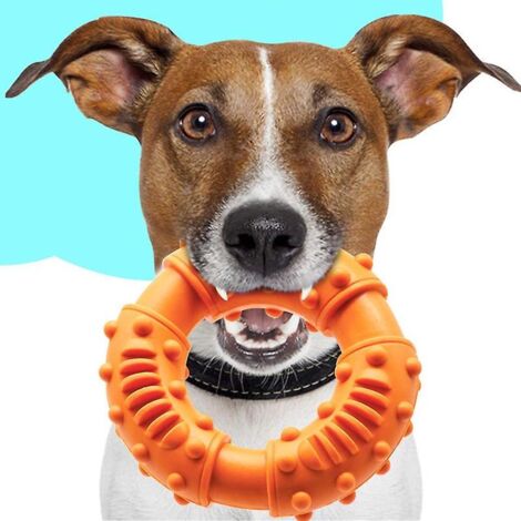 Jouet à mâcher en caoutchouc naturel ultra-résistant pour chiots de races moyennes et grandes - Idéal pour les chiens qui mâchent avec force