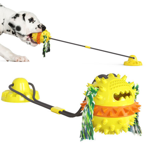 Jouet à mâcher pour chien avec ventouse, jouet interactif pour chien avec balle, chien