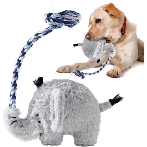 Jouet à mâcher pour chien - Jouet à mâcher pour chien - Jouet amusant pour