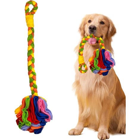 Jouet à renifler pour chien - Jouet amusant pour une alimentation lente -