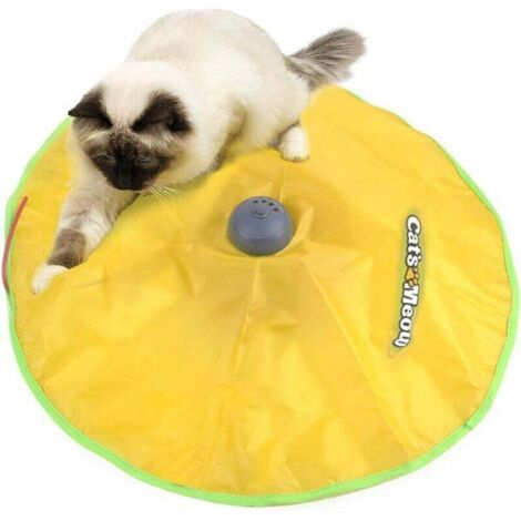 Jouet chat automatique - Distraction chaton/chat - Maison - Rotatif, attrape souris - Propriétaires de chats