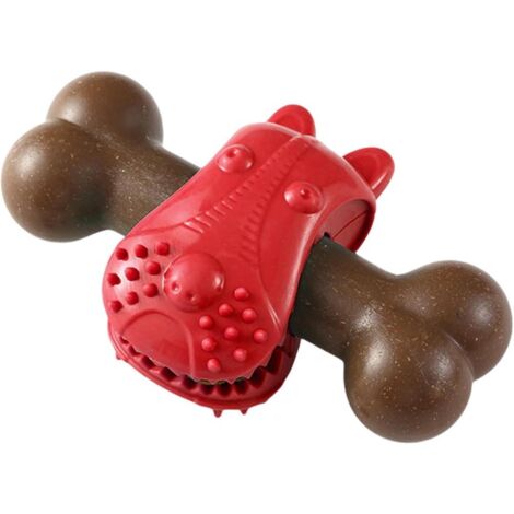 Jouet chien dentition os, stimulation nettoyage dents anti-stress