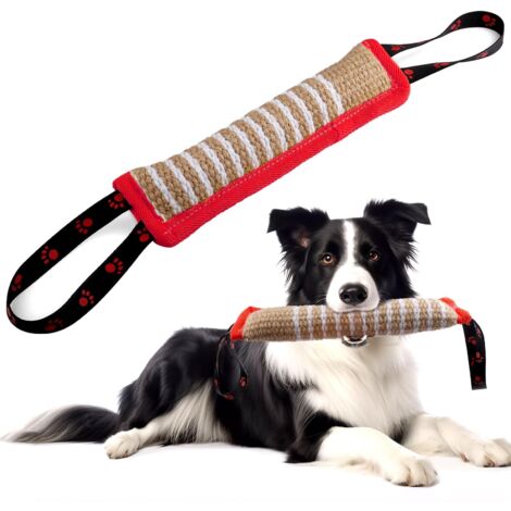 Jouet Chien Indestructible, Boudin Jouet pour Chien Cadeau pour Interactif avec Poignée Rouge
