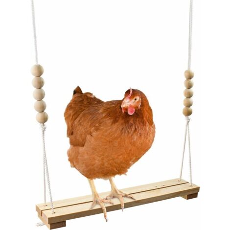 Jouet de balançoire de poulet pour Coop Natural Safe Accessoires en bois. Grande échelle de perche Durable pour la course de volaille coq poules poussins perroquets pour animaux de compagnie ara diver