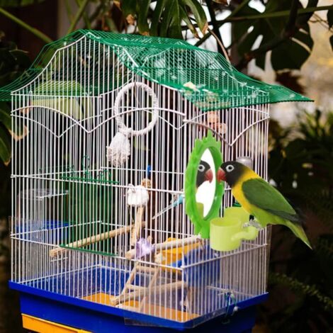 Jouet de miroir d'oiseau, miroir d'oiseau jouet acrylique de perche d'oiseau miroir polyvalent de perroquet suspendu miroir pour cage accessoire
