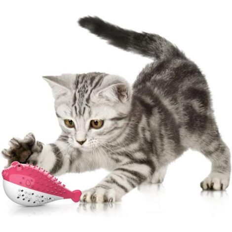 Jouet Dentaire Chat, Jouet pour Chat Jouet Molaire en SiliCône à Macher Jouet Chaton Cataire Brosse à Dents Forme de Poisson Jouet Interactif Hygiène Dentaire Chat(Rose)-Fei Yu