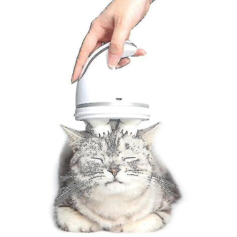 Jouet électrique pour chat, masseur de tête pour animaux de compagnie, brosse de massage portable pour chats, outils de toilettage automatiques