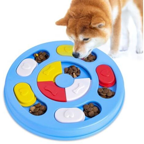 Jouet intelligent Jouet interactif pour chiens de toutes tailles