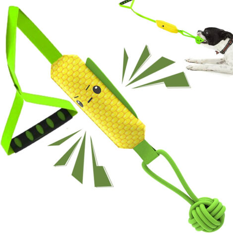 Jouet interactif avec son pour chien