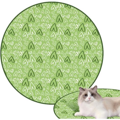 Jouet interactif de boule de chat, jouet de chat de boule