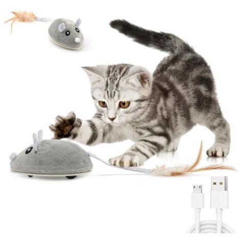 Jouet interactif de chat Jouet chat électrique ®WHD© Souris Jouet USB Intelligente mobile Exercice pour Chat avec Plumes Recharge