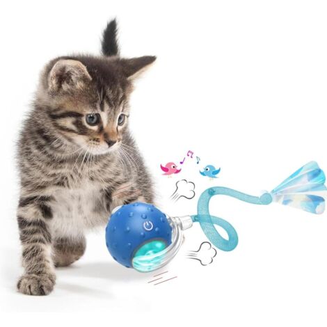 Jouet interactif en balle pour chat d'intérieur