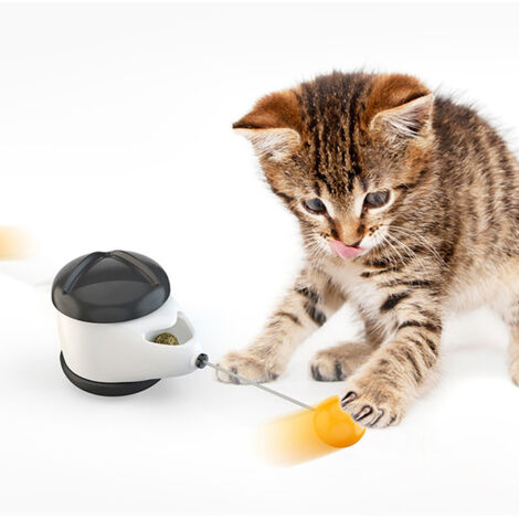 Jouet interactif pour chats d'intérieur, jouet automatique pour chatons