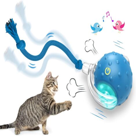 Jouet interactif pour chien Tinyfetch 2026, balle à mouvement rapide avec chant d'oiseau, roulement automatique 360° (Bleu1)