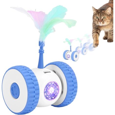 Jouet Interactif Voiture pour Chat - Jouet Automatique Voiture À Double