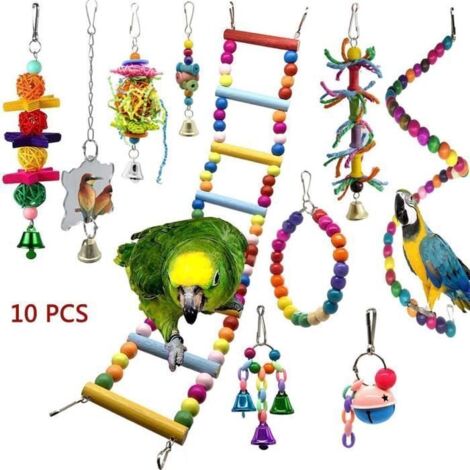Jouet oiseau petit perroquet 10pcs
