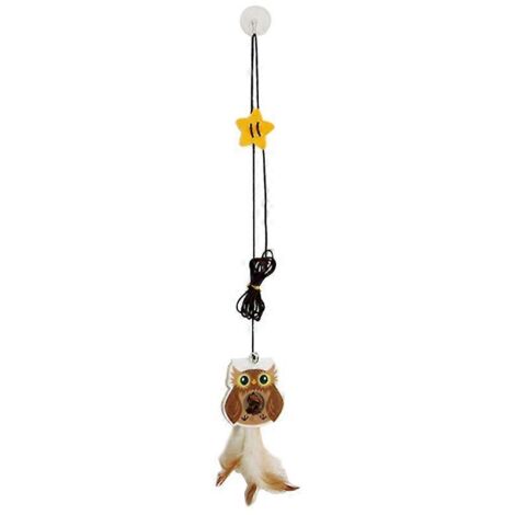 Jouet pour chat en fil métallique avec balles à l'herbe à chat et fruits à la silvervine, idéal pour l'exercice seul du chaton.