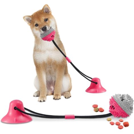Jouet pour chien à ventouse, jouet à mâcher pour animaux de compagnie, jouet à mâcher interactif pour chien