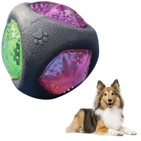Jouet pour chien avec lumière LED et couinement, balle pour chien, jouet pour chien