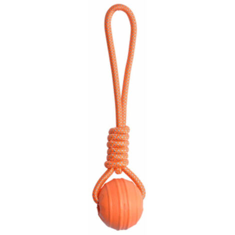 Jouet pour Chien "Balle Fitness Eva" 33cm Orange