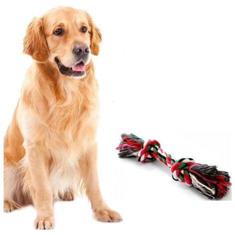 Jouet pour Chien Corde Coton Jeu dentaire 20 cm Os à Mâcher Hygiène Bucco-dentaire Nœuds