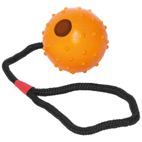 Jouet pour chien Gloria Avec corde Caoutchouc (7 cm) (7 x 30 cm)