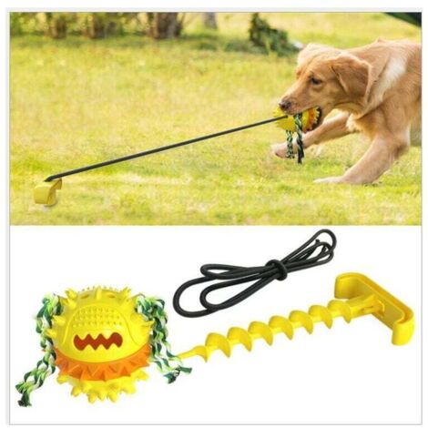 Jouet pour chien, jouet pour chien indestructible, jouet d’occupation pour chien, jouet pour chien, chien en caoutchouc durable