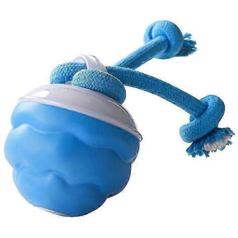 Jouet pour chien rechargeable Power Tail 2.0, balle interactive, balle sauteuse - Bleu