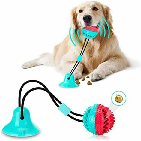 Jouet pour chien ventouse jouet interactif pour chien balle avec ventouse nettoyage des dents jouet à mâcher molaire multifonctionnel