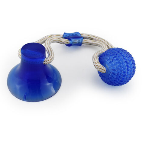 Jouets à Mâcher pour Chiens, Jouet pour Chien à Ventouse Corde Interactive de Dressage pour Chiots pour Le Nettoyage des Dents (Bleu)