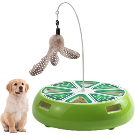 Jouets Interactifs pour Chats - Plateau de Jeu Intelligent Rechargeable