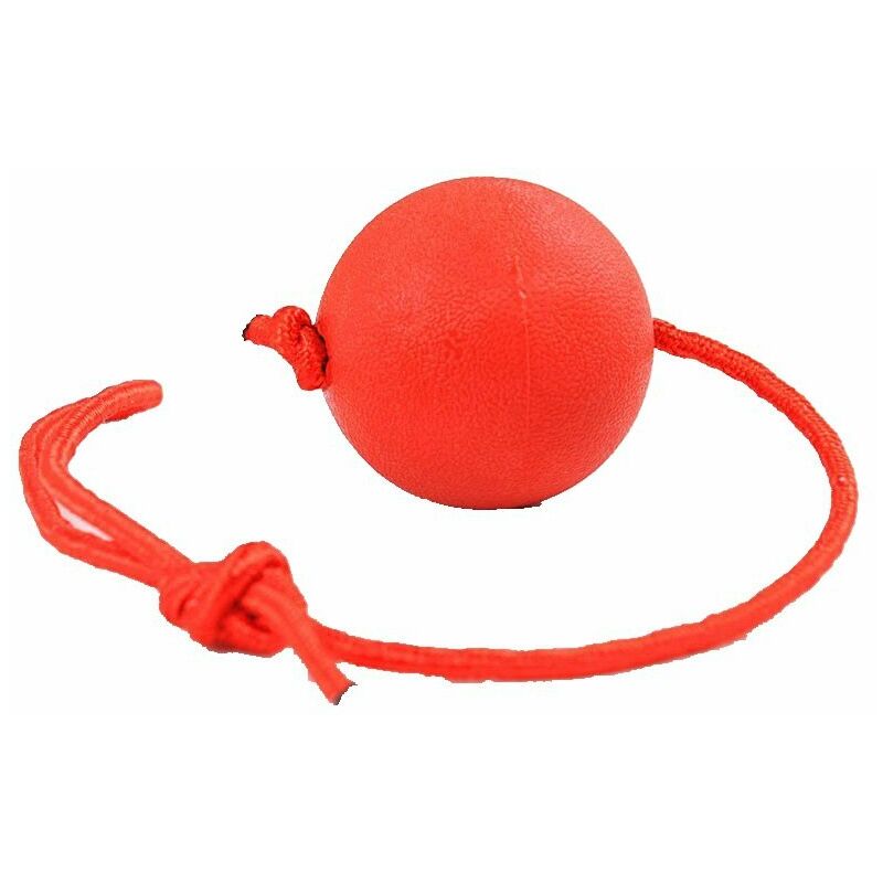 Jouets pour Animaux de Compagnie, Jouets pour Chien avec Corde de Balle en Caoutchouc, Jouets à Mâcher pour Chats d'Entraînement,3 pcs ..
