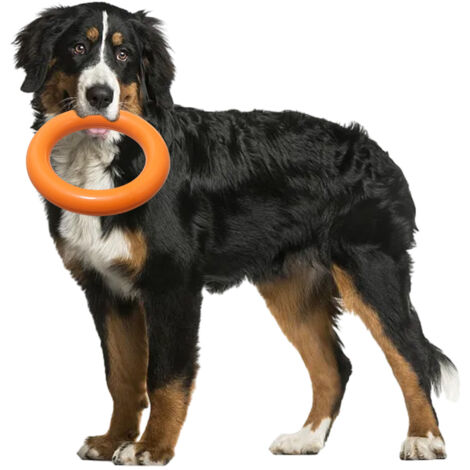 Jouets pour chiens agressifs de grande race, anneau durable, jouet en caoutchouc résistant