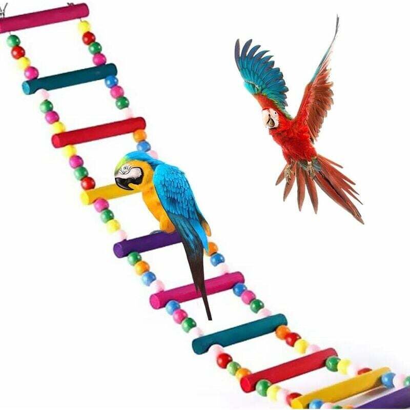 Jouets pour Oiseaux pour Perroquet, échelle, balanoire, Dressage Pont Arc-en-Ciel pour perroquets, perruches, Conures, cokatoo
