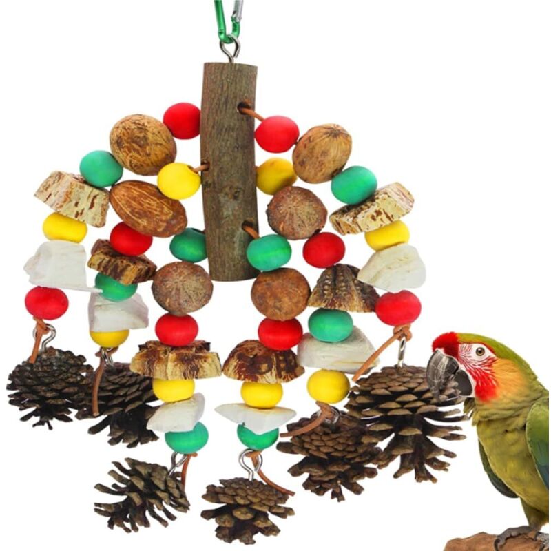 Jouets pour perroquets, noix riches en nutriments, jouet à mordre en bois naturel pour cage de perroquet, cacatoès contenant des os de seiche, pommes