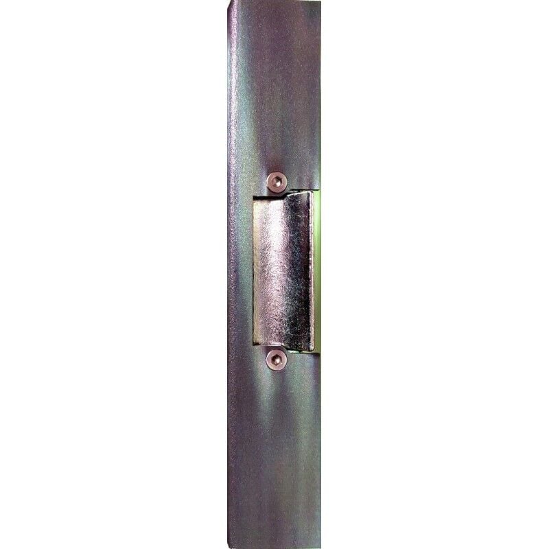 ATP260-04-0A Gâche électrique à rupture 24V En applique 1000KG pour fermetures antipaniques avec ou sans contre-pêne. - JPM