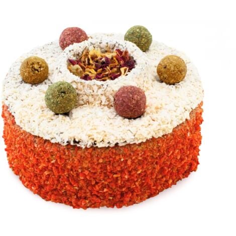 JR FARM DELICIOUS CAKE - biscotto senza cereali per tutti i pappagalli 200 g