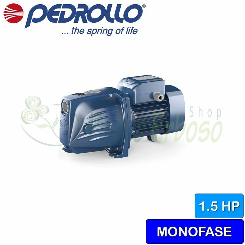 

Pedrollo - JSWm 2AX - Bomba eléctrica, de auto-cebado de una sola fase