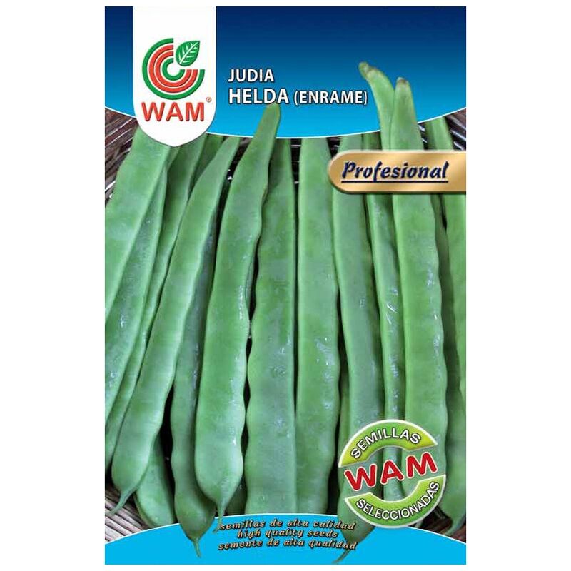 WAM - Juda Seeds Tena Enrame 100 gr