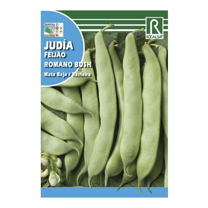 

JUDIA ROMANO BUSH MATA BAJA 250 GR. - Rocalba