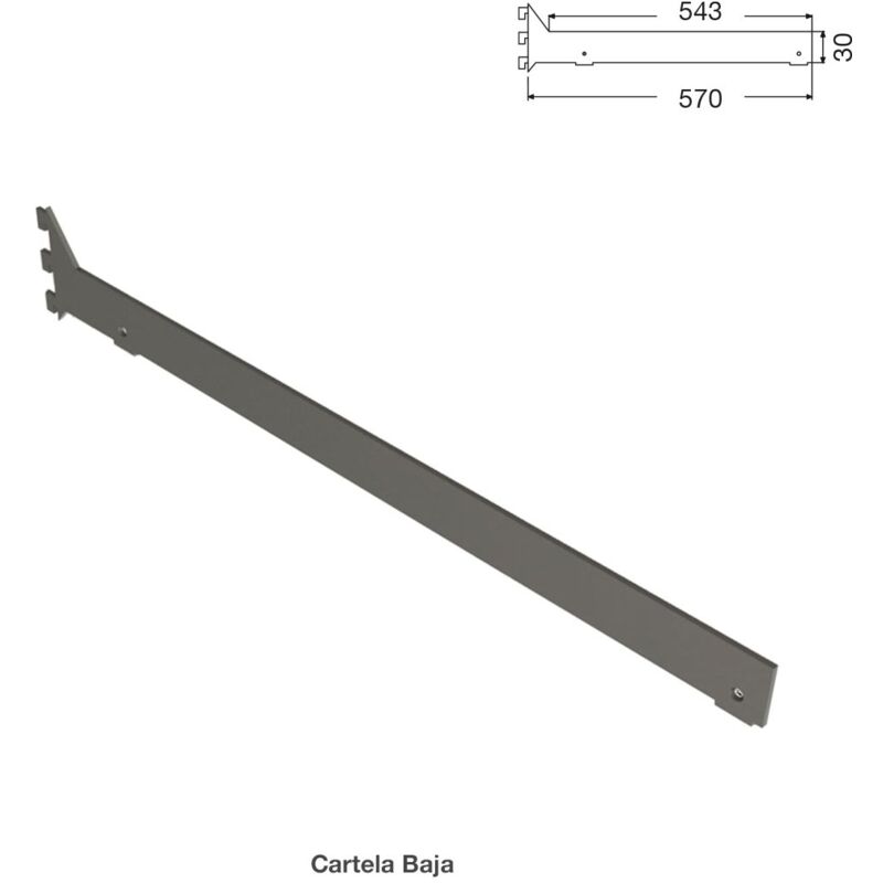 

Juego Cartelas Panelsystem Estante Bajo 30X543 mm (DCHA/Izquierda ) - Aluminio