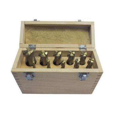 Juego de 10 cortadores de desbaste con 4 cortes HOLZMANN ffs10