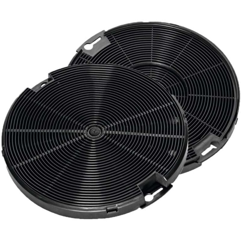 Filtro de carbón Zanussi MCFE09 / 9029800548 (2 uds.)