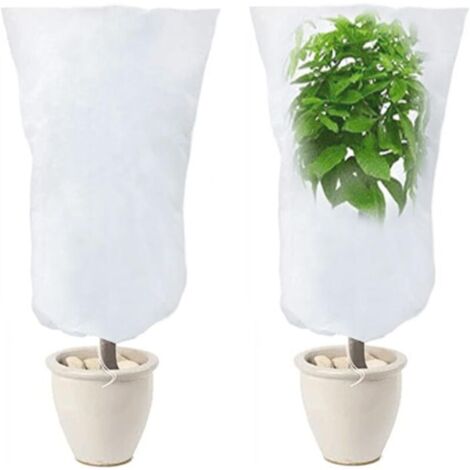 Juego de 2 fundas de invierno para plantas, funda de invierno para plantas de exterior, lona de invierno, lona de invierno para protección invernal de plantas para olivo, palmera, limonero 120cm x 80c