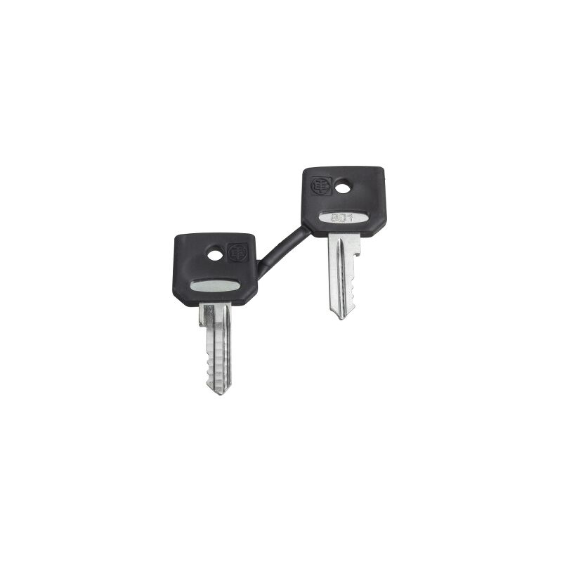 

Juego De 2 Llaves N 455 Schneider Electric Zbg455