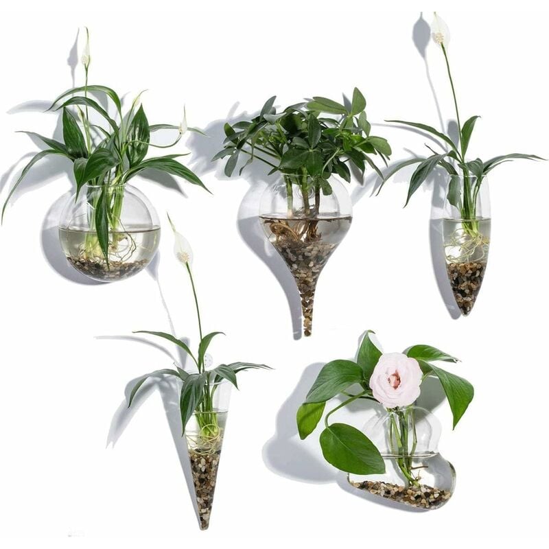 

Juego de 5 jarrones de pared de vidrio geométrico para plantas acuáticas o flores, soporte de pared de vidrio transparente