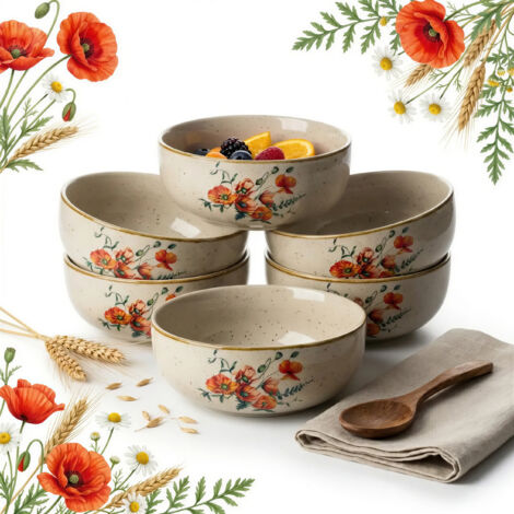 JUEGO DE 6 CUENCOS PARA SOPA 500ml ENSALADA POSTRE 16cm