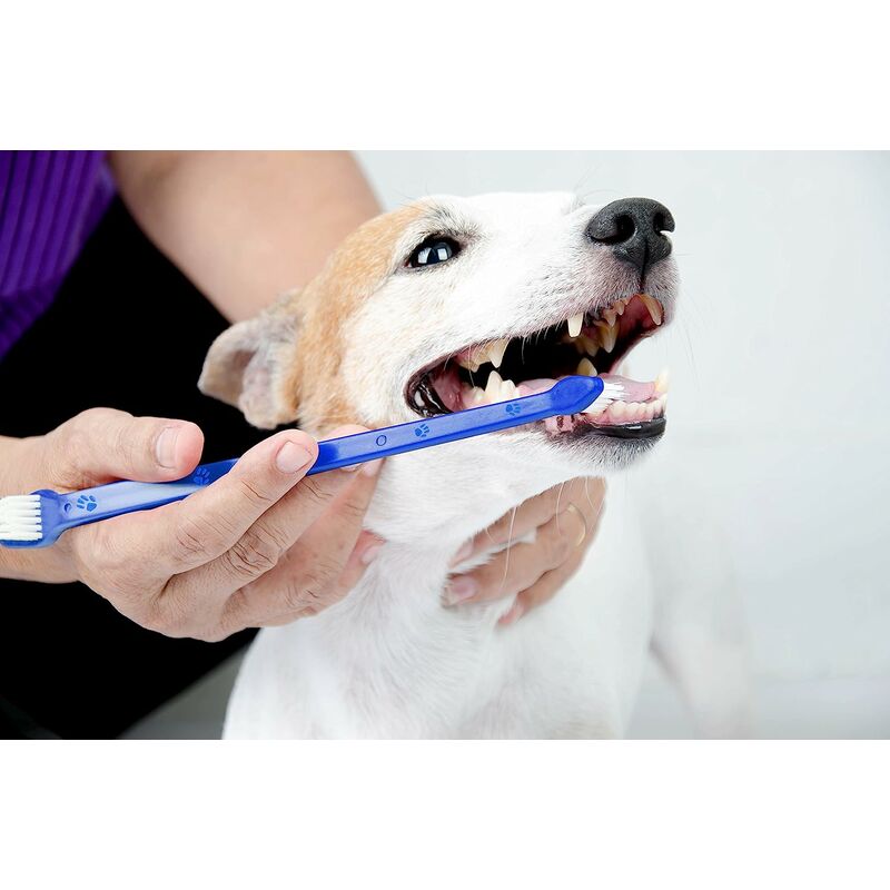 

Juego de cepillos de dientes para perros de 8 1/2 pulgadas Cepillos de higiene dental caninos de doble cara con cerdas súper suaves