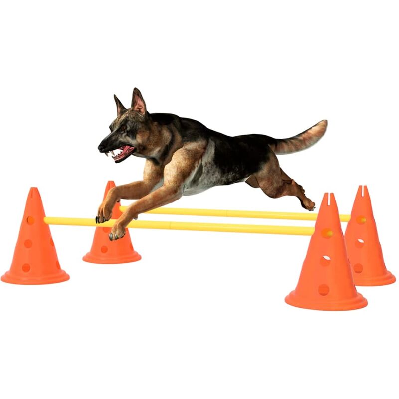 

Juego de obstáculos para perros naranja y amarillo