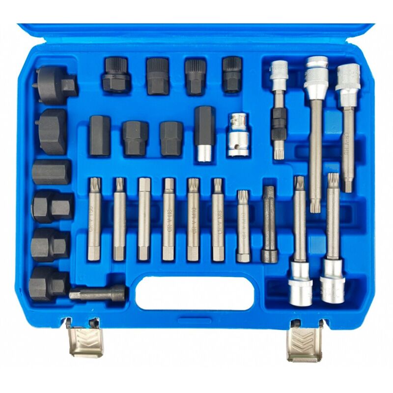 

Juego De Puntas Para Alternadores Xzn, Torx Y Allen, 30 Piezas